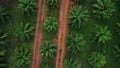 AERIAL. Camera moving fast from down to up. Top view directly above a asian female farmer in the hat monitoring his farm