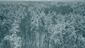 Aerial cinematic shot of trees in snow. Beautiful winter forest scenery