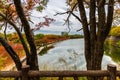 cityscape of autumn scene of Osaka city with park, modern buildings and river, Japan Royalty Free Stock Photo