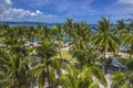 Aerial of a coconut tree lined beach at Pangangan Island, Calape, Bohol, Philippines. Shot at treeline elevation Royalty Free Stock Photo