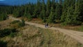 Aerial couple walking forest road view among green spruce trees spring day Royalty Free Stock Photo