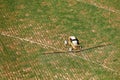 Aerial view of a long arm spreader killing potato vines..