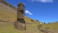 AERIAL: Curious female tourist walks along a trail running past moai statues. Royalty Free Stock Photo