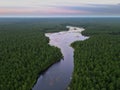 Aerial Detail of the New Jersey Pine Barrens and Mullican River Royalty Free Stock Photo