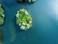 Aerial down view of island on a tranquil clear water lake in Hertfordshire with underwater reeds