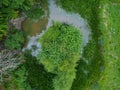 Aerial down view of secret pond in Hertford Heath woods