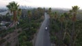Aerial Drone Elysian Park Palm Trees Los Angeles Sunset 3