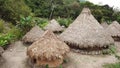 Aerial drone footage of local houses of the Kogi Indigenous tribe near Palomino