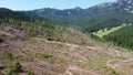 Natural disaster in Carpathian forest , Romania , aerial view