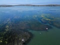 Bodega Bay water details from above Royalty Free Stock Photo