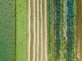 Aerial drone image of fields with diverse crop growth based on principle of polyculture and permaculture