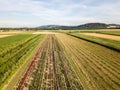 Aerial drone image of fields with diverse crop growth - polyculture and permaculture