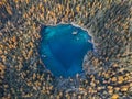 Aerial drone image over the heart shape lake Saoseo Lake in Canton Grison, Switzerland