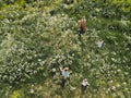 Aerial drone: Mother having quality funny playing time with her baby girls at a park blowing dandelion - Young blonde Royalty Free Stock Photo