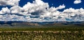 Aerial, drone panorama of the Mogollon Rim with the Houston Mesa