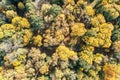 Aerial drone photo looking down on colorful autumnal treetops in park at sunny day