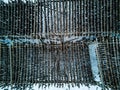 Drone photo - Racks of drying cod fish in Reine, Norway. Lofoten Islands Royalty Free Stock Photo