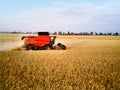 Aerial drone photo of red harvester working in wheat field on sunset. Combine harvesting machine driver cutting crop in Royalty Free Stock Photo