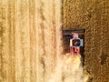 Aerial drone photo of red harvester working in wheat field on sunset. Top view of combine harvesting machine driver Royalty Free Stock Photo