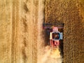 Aerial drone photo of red harvester working in wheat field on sunset. Top view of combine harvesting machine driver Royalty Free Stock Photo