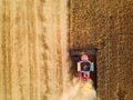 Aerial drone photo of red harvester working in wheat field on sunset. Top view of combine harvesting machine driver Royalty Free Stock Photo