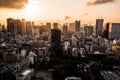 Aerial Drone Photo - Skyline of the city of Tokyo, Japan at sunrise. Asia