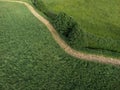 Aerial, drone photography taken from above in Sweden. Top view of green agriculture fields. Royalty Free Stock Photo