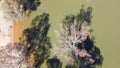 The aerial drone point of view footage flying above trees wetlands at Bowna Waters Reserve is natural parkland on the foreshore.