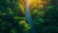 Aerial drone shot of curved asphalt road among the juicy rainforest and green hills covered somewhere in East Asia. Beauty of