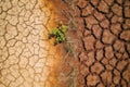 aerial drone shot dry cracked ground on agricultural fields, dead plants, heatflation, heatwave Royalty Free Stock Photo