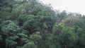Aerial drone shot over the forest in tropocal country.