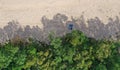 Aerial drone top down view on clean sand beach, green deciduous forest and resting people on blanked in tree shadows hiding from