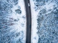 Aerial drone top view of asphalt road with car among winter forest in snow, nature travel and transportation concept Royalty Free Stock Photo
