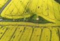 Aerial drone top view fields of rapeseed and wheat with lines on spring or summer day. Nature landscape Royalty Free Stock Photo