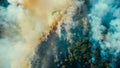 Aerial drone top view of fire or wildfire in forest with huge smoke clouds, burning dry trees and grass