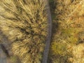 Aerial drone top view on a forest park with a small walking path. Royalty Free Stock Photo