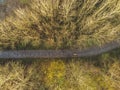 Aerial drone top view on a forest park with a small walking path Royalty Free Stock Photo