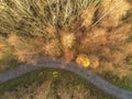 Aerial top view on a path in a park, Fall season. Royalty Free Stock Photo