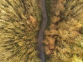 Path in a park Aerial view, Fall season. Royalty Free Stock Photo