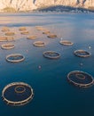 Aerial drone top view of sea fish farm cages and fishing nets, farming dorado, sea bream and sea bass, feeding the fish a forage,