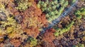 Aerial drone view of autumn landscape and road from above, yellow, green and red golden autumn trees and country road Royalty Free Stock Photo