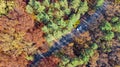 Aerial drone view of autumn landscape and road from above, yellow, green and red golden autumn trees and country road for cars Royalty Free Stock Photo