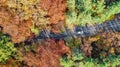 Aerial drone view of autumn landscape and road from above, yellow, green and red golden autumn trees and country road for cars Royalty Free Stock Photo