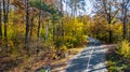 Aerial drone view of autumn landscape and road from above, yellow, green and red golden autumn trees and country road for cars Royalty Free Stock Photo