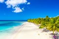 Aerial drone view of beautiful caribbean tropical island beach with palms. Saona, Dominican Republic. Vacation background