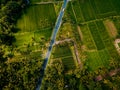 Aerial drone view of the beautiful road in between the rice terraces in Bali, Indonesia. Royalty Free Stock Photo