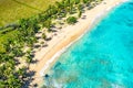 Aerial drone view of beautiful wild caribbean tropical Macao beach with palms. Dominican Republic. Vacation background Royalty Free Stock Photo