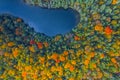 Aerial Drone view of colorful top of the forest and a lake at Autumn Royalty Free Stock Photo