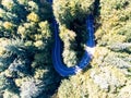 Aerial drone view, curving asphalt road , deciduous woods