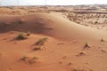 Drone view of Dry Desert in Dubai with Sand Ripples, High Dune Desert in United Arab Emirates Royalty Free Stock Photo